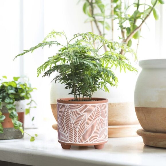 Decorative Terracotta & White Leaf Print Ceramic Planter Pots | Set of 2 - Picture 12 of 12